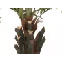 EUROPALMS Kentia Palm Deluxe dirbtinis augalas 300cm 82511370