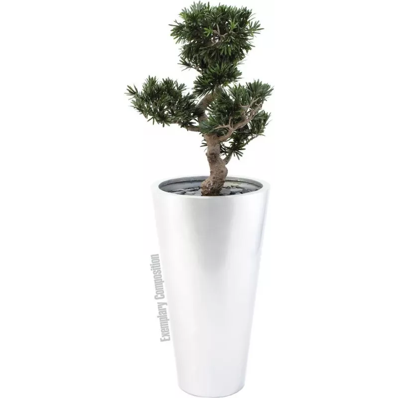 EUROPALMS Bonsai Podocarpus dirbtinis augalas, 80cm 82600116
