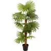 EUROPALMS Fan Palm dirbtinis augalas 130cm 82509302