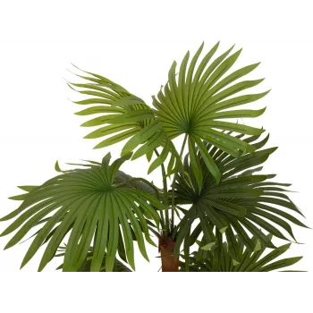 EUROPALMS Fan Palm dirbtinis augalas 130cm 82509302