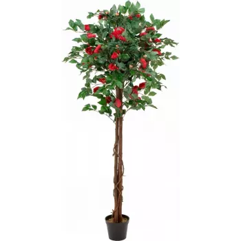 EUROPALMS Camellia Tree Red su vazonu, dirbtinis augalas, 180cm 82507226