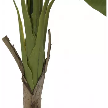 EUROPALMS dirbtinis bananų medis, 145 cm, 82509504