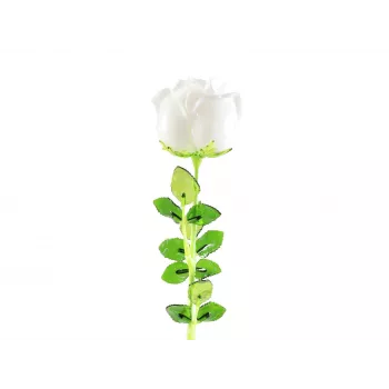 EUROPALMS Crystal Rose dirbtinė gėlė, balta, 81 cm, 12 vienetų 82600208