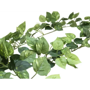 EUROPALMS Pothos Garland Classic dirbtinė gėlė, 180cm 82503728