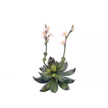 EUROPALMS Stone Rose (EVA) dirbtinis augalas, rožinis, 32cm 82530572