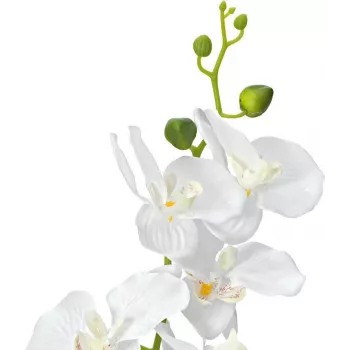 EUROPALMS Orchid Artificial Plant, White, 80cm (82530362)