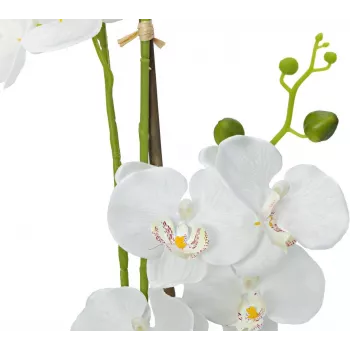 EUROPALMS Orchid Artificial Plant, White, 80cm (82530362)