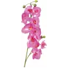 EUROPALMS dirbtinė orchidėjos šakelė, purpurinė, 100 cm 82530322