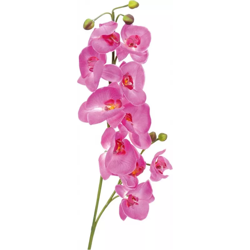 EUROPALMS dirbtinė orchidėjos šakelė, purpurinė, 100 cm 82530322