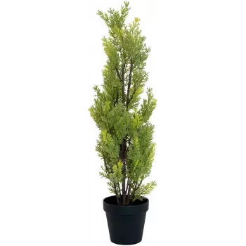 EUROPALMS Leyland Cypress dirbtinis augalas, 60 cm 82606959