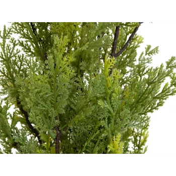EUROPALMS Leyland Cypress dirbtinis augalas, 60 cm 82606959