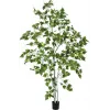 EUROPALMS beržo medis dirbtinis augalas 180cm 82505231