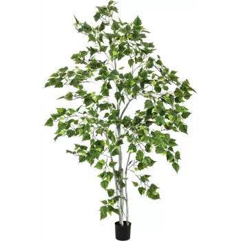 EUROPALMS beržo medis dirbtinis augalas 180cm 82505231