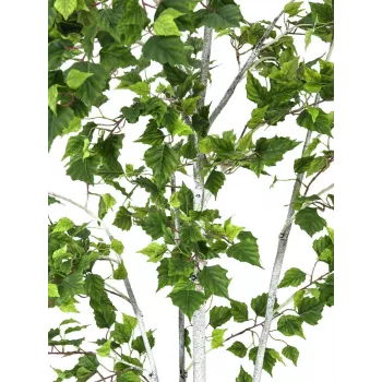 EUROPALMS beržo medis dirbtinis augalas 180cm 82505231