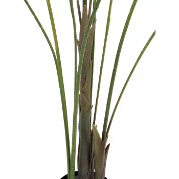 EUROPALMS Großblatt-Areca dirbtinė arekos palmė, 185 cm (82509442)