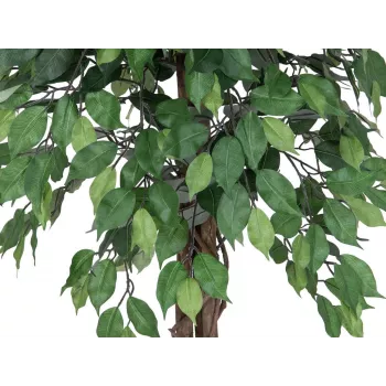 EUROPALMS Ficus Benjamina daugiavainikis dirbtinis augalas, 180 cm 82506126