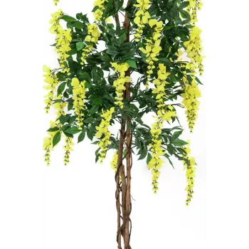 EUROPALMS dirbtinis auksinio lietaus medis, geltonas, 180cm 82507116