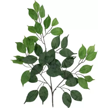 EUROPALMS Ficus Benjamina dirbtinė šaka, 60 cm, 12 vnt. rinkinys, žalia 82506101