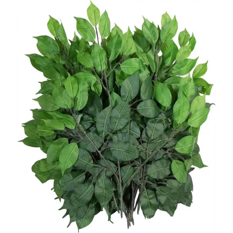 EUROPALMS dirbtinė Ficus Benjamina šakelė, 12 vnt. rinkinys 82506101
