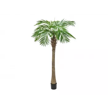 EUROPALMS Phoenix Palm Luxor dirbtinis augalas, 210cm 82510721
