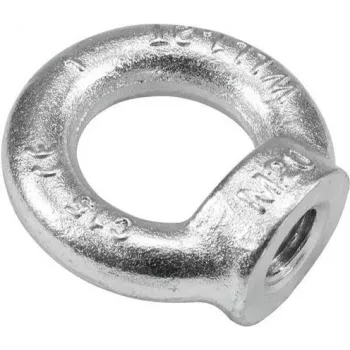 ACCESSORY Ring Nut M20 DIN 582 C15 Steel Lifting Eye Nut 30001178