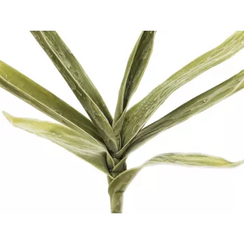 EUROPALMS dirbtinė jukos šakelė (EVA), žalia, 60 cm 82531063