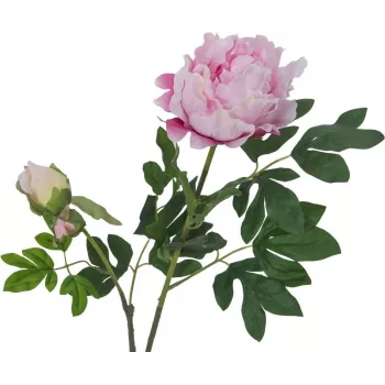 EUROPALMS Premium Peony Branch dirbtinis augalas, rožinis, 100cm 82530220