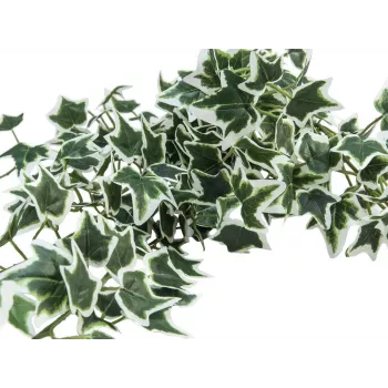 EUROPALMS Holland Ivy Bush Screen Classic, dirbtinis, 100 cm 82502212