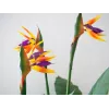 EUROPALMS Strelitzia dirbtinis augalas, 90 cm 82540502