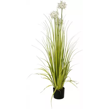 EUROPALMS Allium Grass dirbtinis augalas, baltas, 120 cm 82600169