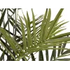 EUROPALMS Kentia Palm dirbtinis augalas 300cm 82511369
