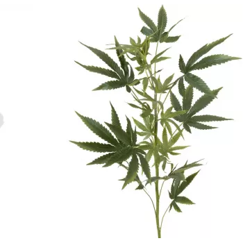 EUROPALMS Dirbtinė kanapių šakelė, 90cm, žalia 82506699