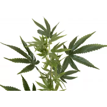 EUROPALMS Dirbtinė kanapių šakelė, 90cm, žalia 82506699