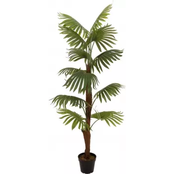 EUROPALMS Fan Palm Dirbtinis Augalas, 155cm 82509303