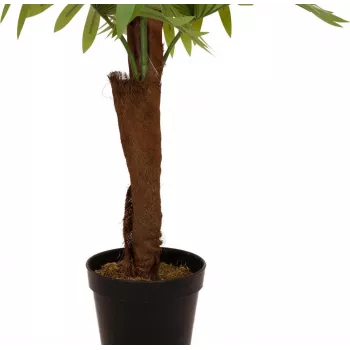 EUROPALMS Fan Palm Dirbtinis Augalas, 155cm 82509303