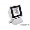 SYNERGY21 S21-LED-TOM01157 LED lauko prožektorius objektams apšviesti 80W, pilko korpuso, šaltai balta šviesa, V3