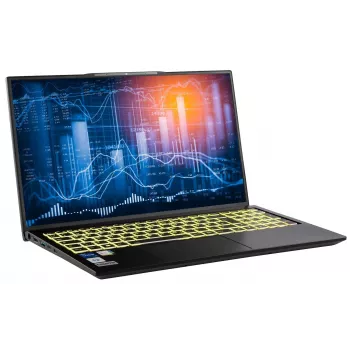 Captiva Notebook Power Starter I99-012GE i5-1335U 17,3 colio 64GB 1TB SSD Intel Iris Xe Graphics be OS (99012)