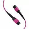 EFB MTP-F/MTP-F 36 pluoštų matricinis patch kabelis OM4, LSZH Erika Violet, Type A, 30m MTPF36MTPFOM4-30-A