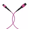 EFB MTP-F/MTP-F 36 pluoštų matricinis patch kabelis OM4, LSZH Erika Violet, Type A, 30m MTPF36MTPFOM4-30-A