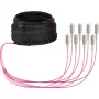 EFB Elektronik magistralinis optinis kabelis U-DQ ZN BH OM4 8G 1x8 SC-SC 30m Dca LSZH O8321S30OM4