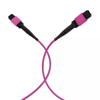 EFB Elektronik MPO-PLUS(F)-MPO-PLUS(F) OM4 12 gijų Type B LSZH šviesolaidinis pataisos kabelis, Erika-Violet, 20 m MPOF12MPOFOM4-20
