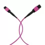 EFB Elektronik MPO-PLUS(F)-MPO-PLUS(F) OM4 12 gijų Type B LSZH šviesolaidinis pataisos kabelis, Erika-Violet, 20 m MPOF12MPOFOM4-20