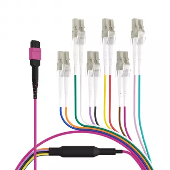 EFB Elektronik MPO-PLUS (F) į LC trunk kabelis, OM4, 12 skaidulų, Type B, LSZH, Erika Violet, 1m MPOF12LCOM4-1