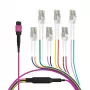 EFB Elektronik MPO-PLUS (F) į LC trunk kabelis, OM4, 12 skaidulų, Type B, LSZH, Erika Violet, 1m MPOF12LCOM4-1