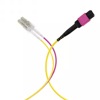 MPO-PLUS (F) – LC šakinis optinis kabelis OM4 12 pluoštų Type B LSZH Erika violet 10m MPOF12LCOM4-10