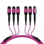 EFB Elektronik MTP-F/MTP-F 48 gijų matricinis pataisos kabelis OM4, LSZH Erika Violet, Code A, 25m MTPF48MTPFOM4-25-A