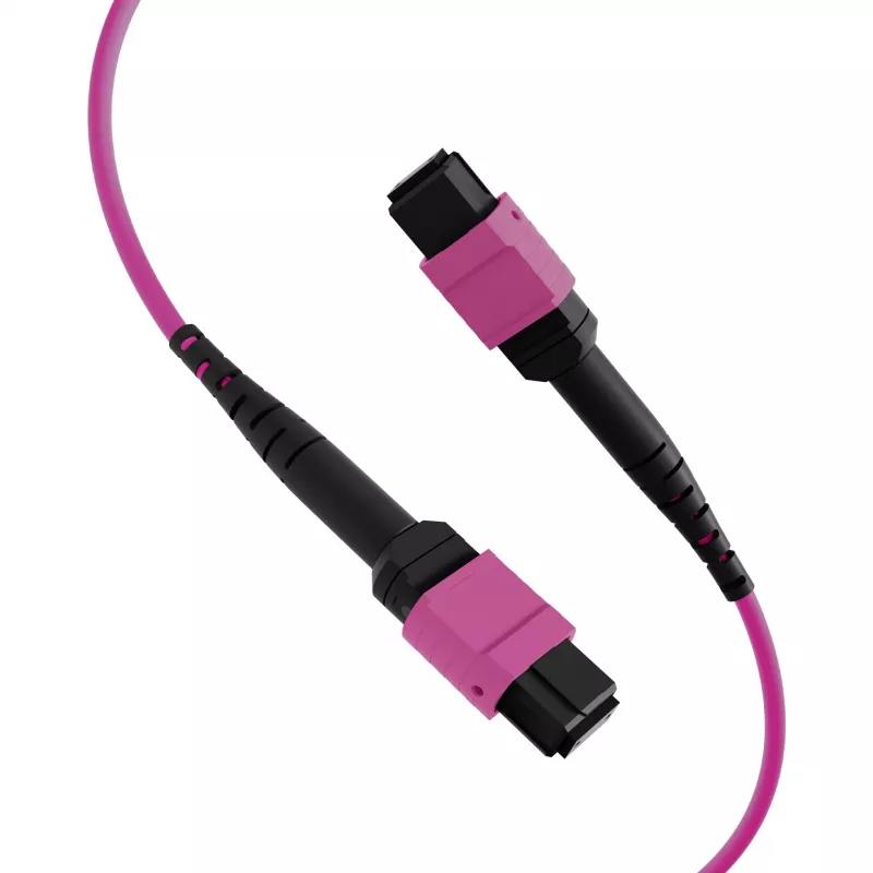 EFB Elektronik MTP-F/MTP-F 48 gijų matricinis pataisos kabelis OM4, LSZH Erika Violet, Code A, 25m MTPF48MTPFOM4-25-A