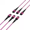 EFB Elektronik MTP-F/MTP-F 48 gijų matricinis pataisos kabelis OM4, LSZH Erika Violet, Code A, 25m MTPF48MTPFOM4-25-A