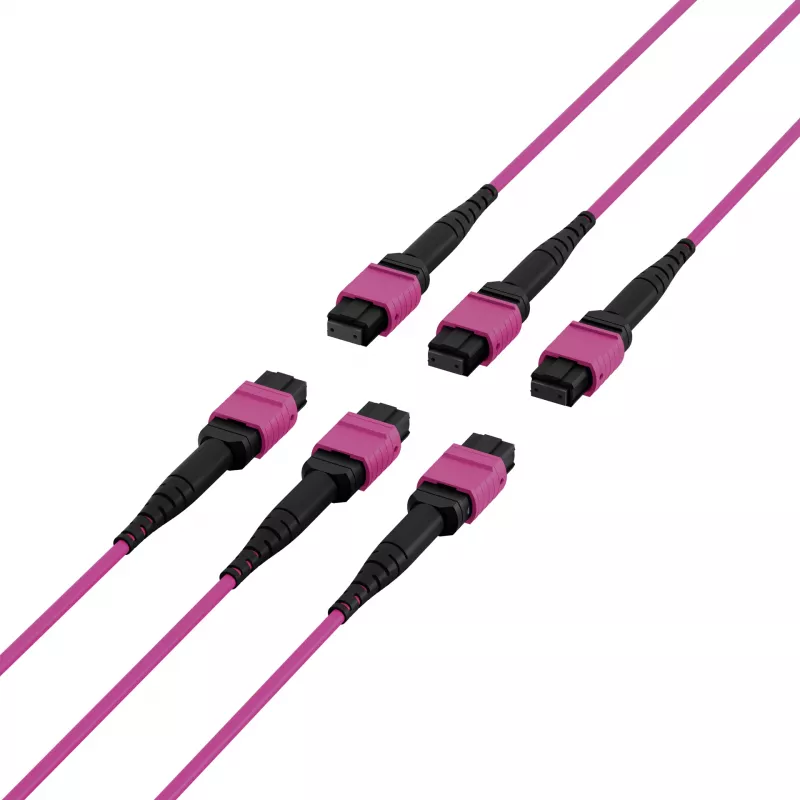 EFB Elektronik MTP-F/MTP-F 48 gijų matricinis pataisos kabelis OM4, LSZH Erika Violet, Code A, 25m MTPF48MTPFOM4-25-A