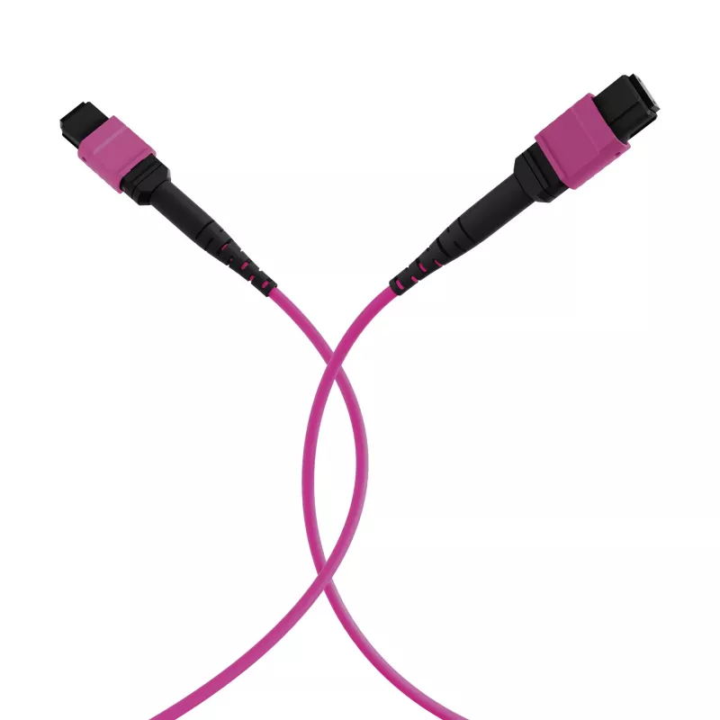EFB Elektronik MTP-F/MTP-F 48 gijų matricinis pataisos kabelis OM4, LSZH Erika Violet, Code A, 25m MTPF48MTPFOM4-25-A